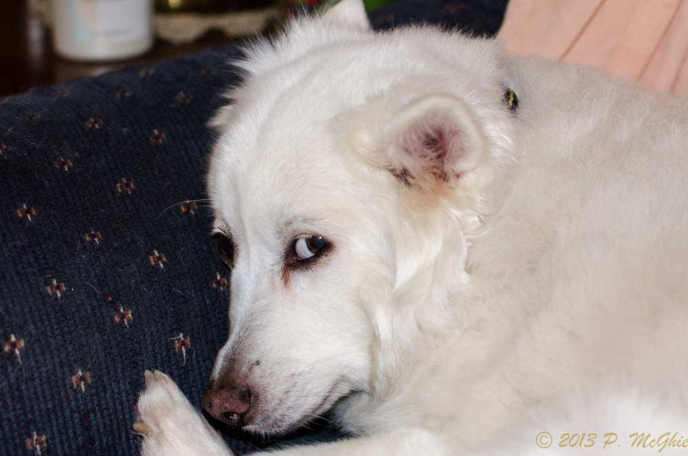 DSC_9109.jpg
