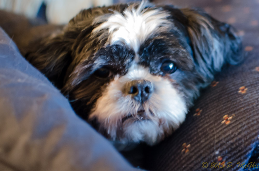 DSC_9112.jpg