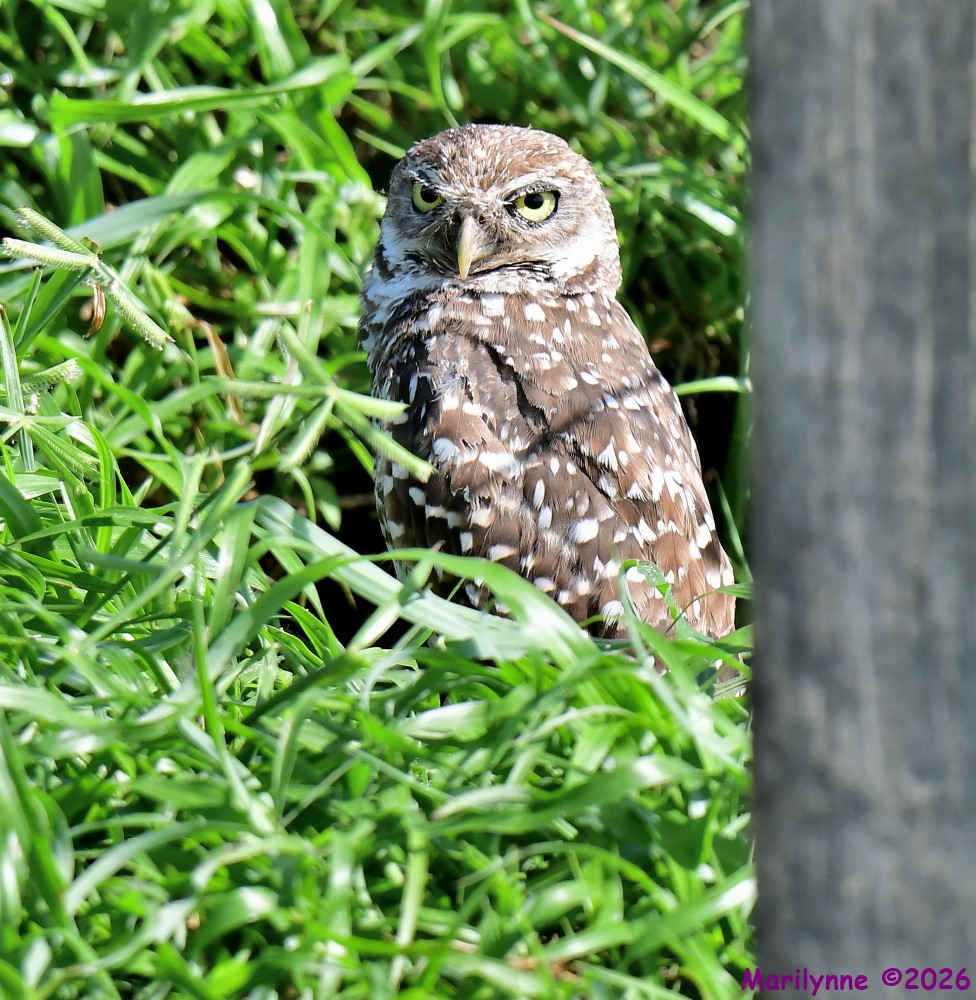 DSC_9120_001.JPG