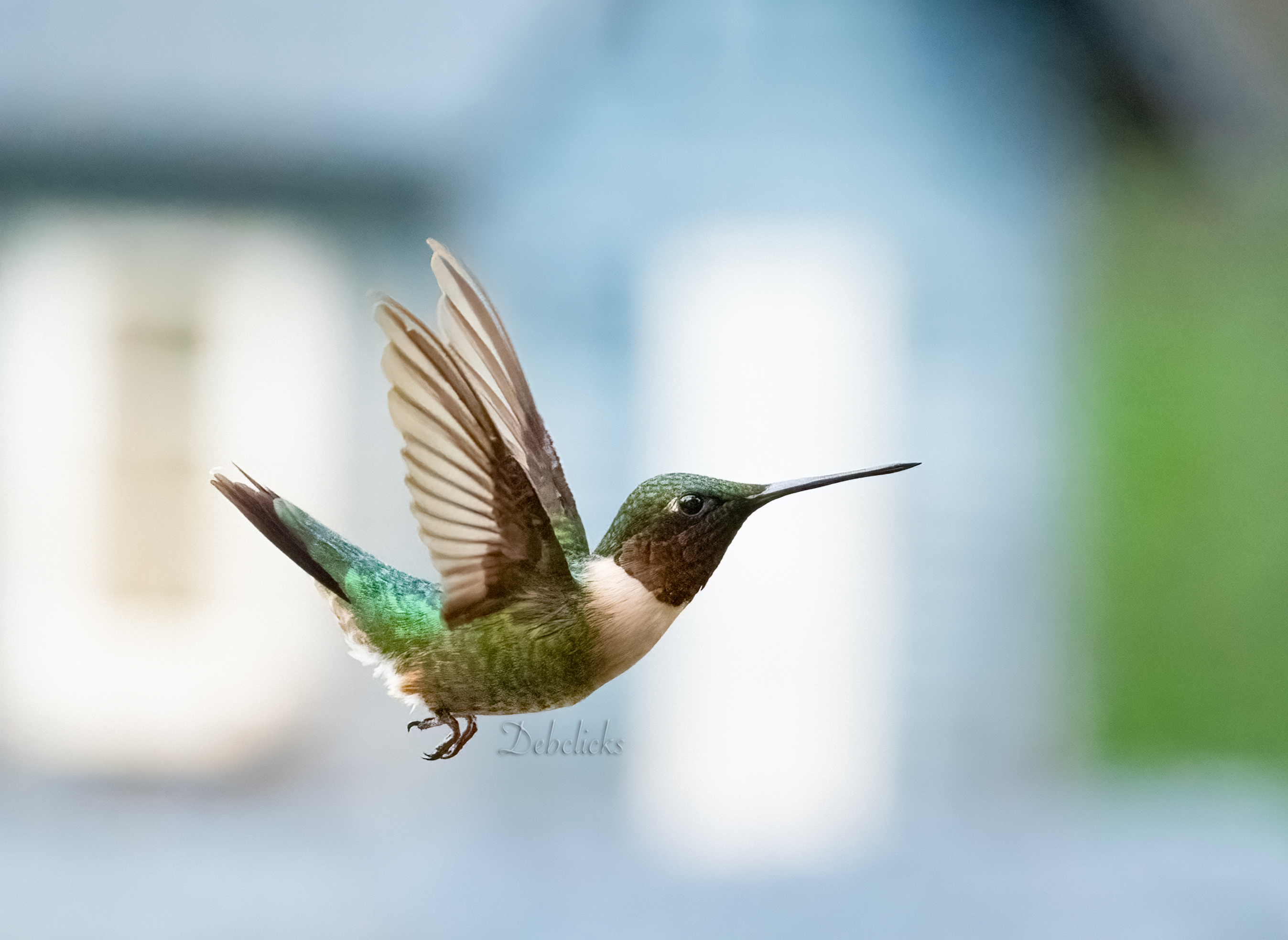 DSC_9124.jpg
