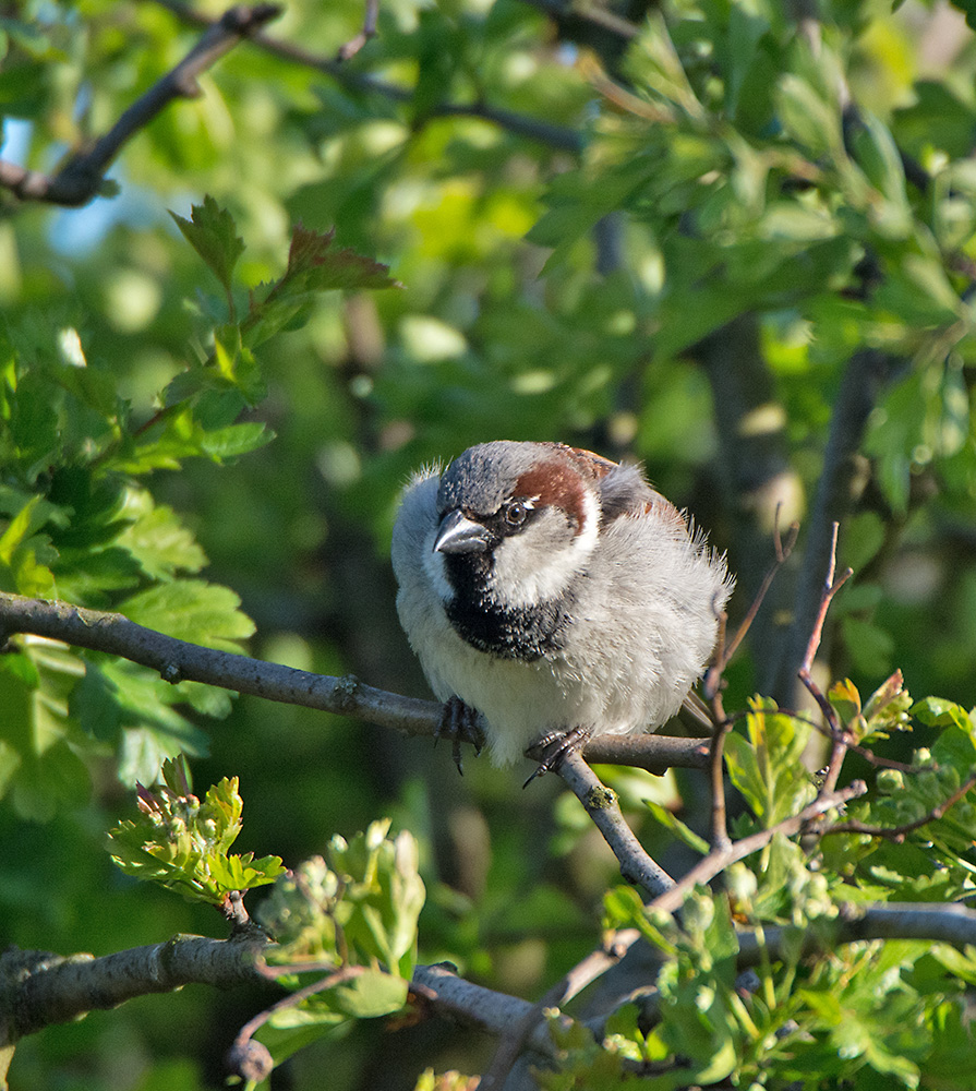 DSC_9130.jpg
