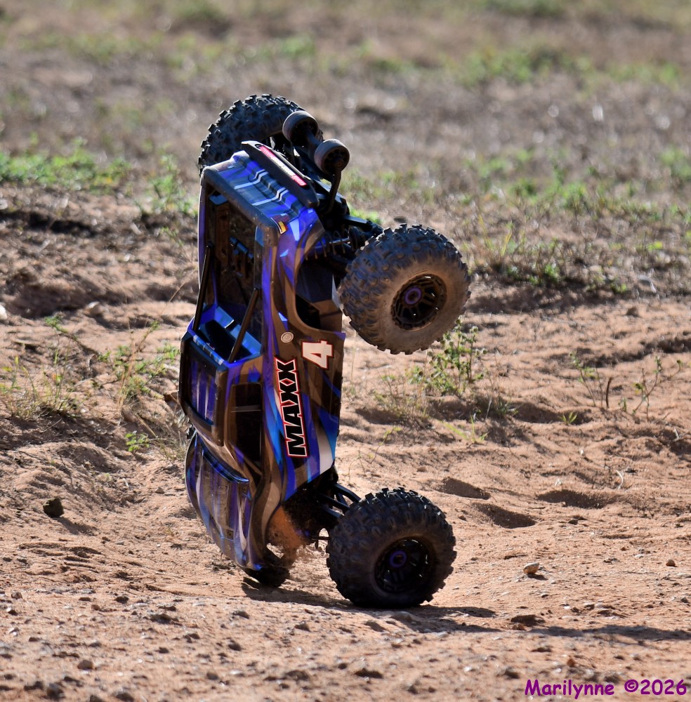 DSC_9131_001.JPG