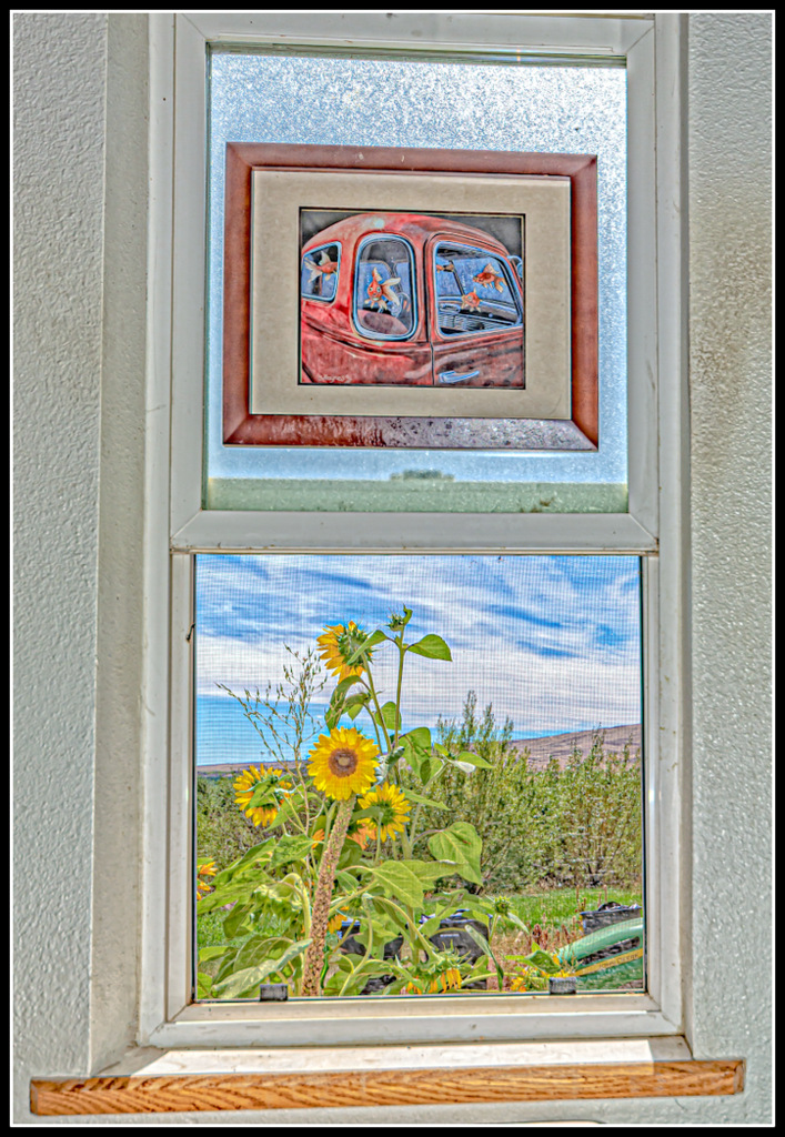DSC_9139-Edit.jpg