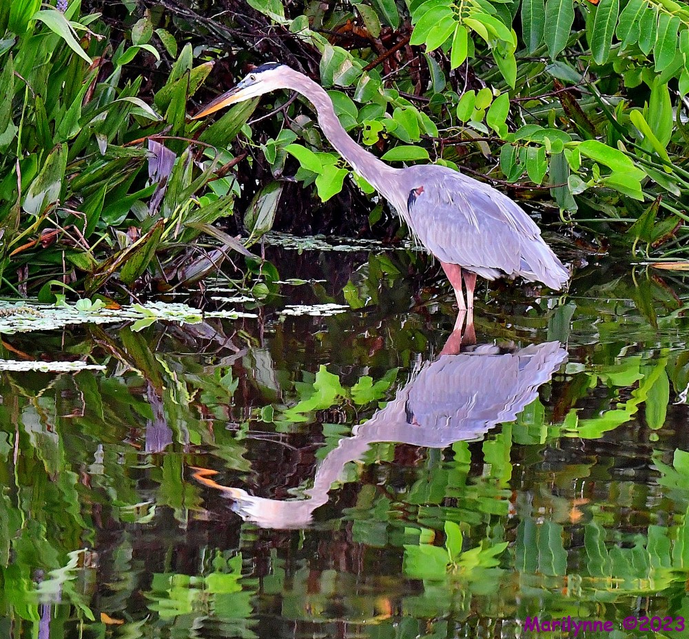 DSC_9147_001.JPG