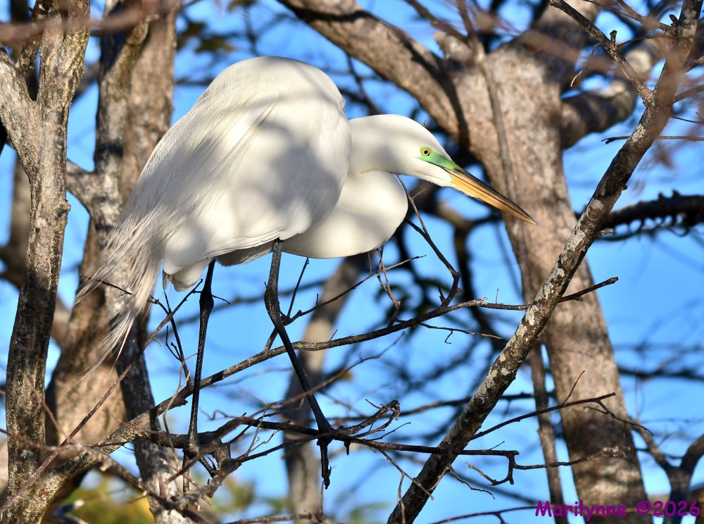 DSC_9147_001.JPG