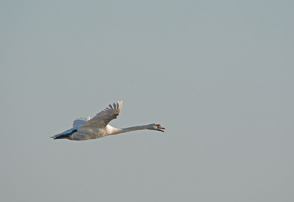DSC_9148.jpg