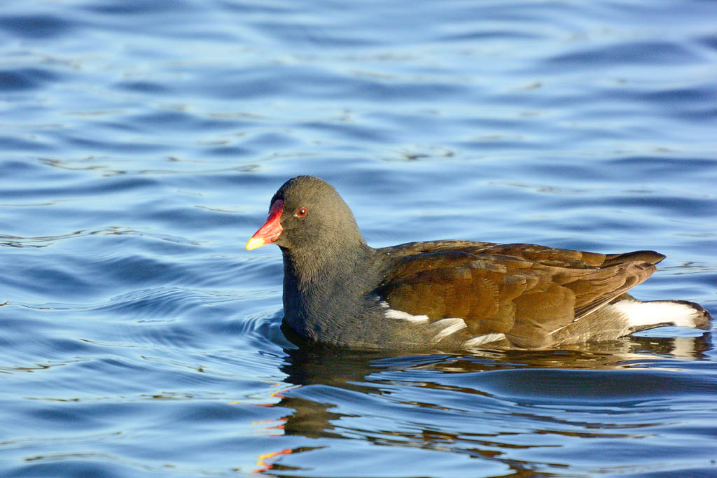 DSC_9153.jpg