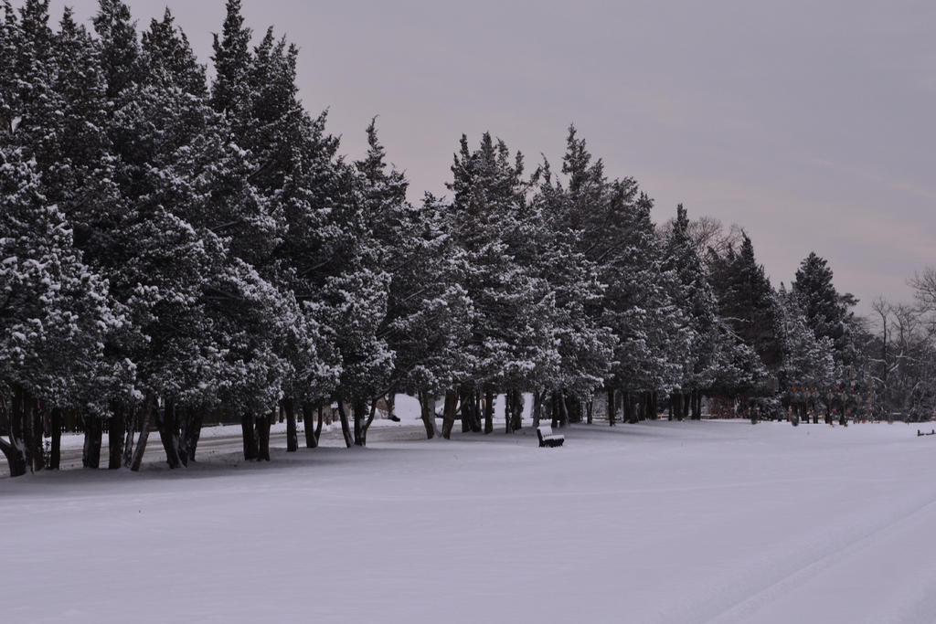 DSC_9157.jpg