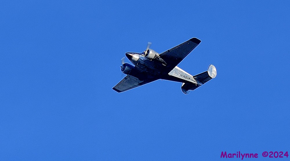 DSC_9165_001.JPG