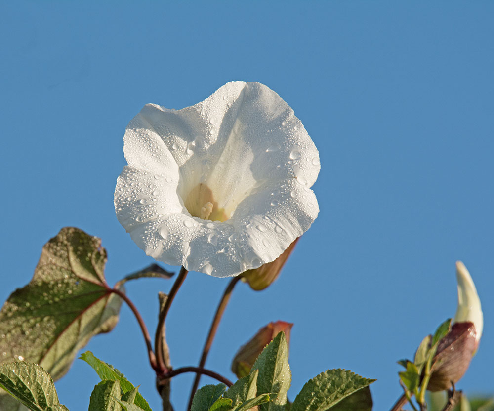 DSC_9167.jpg