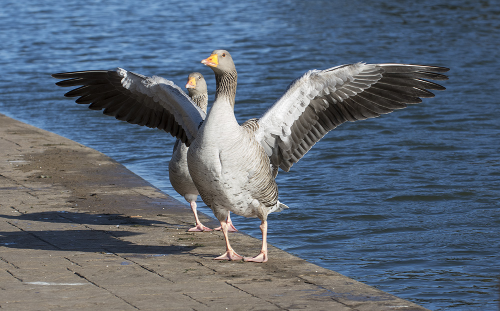 DSC_9167.jpg