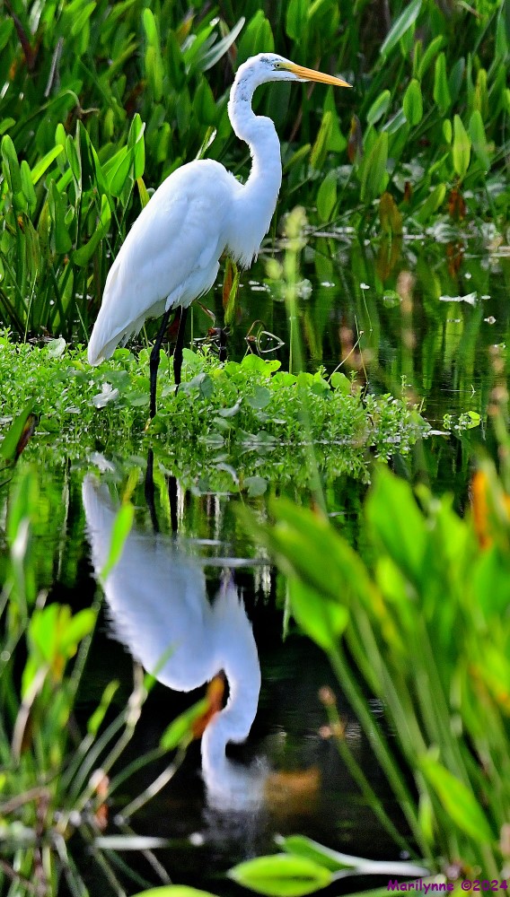 DSC_9169_stitch4_001.JPG