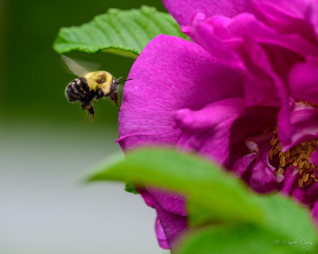DSC_9175.jpg