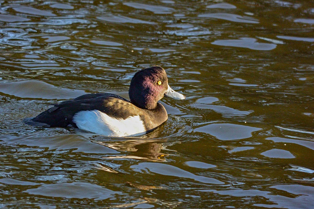 DSC_9179.jpg