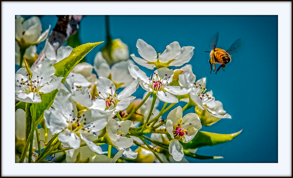 DSC_9188-Edit.jpg