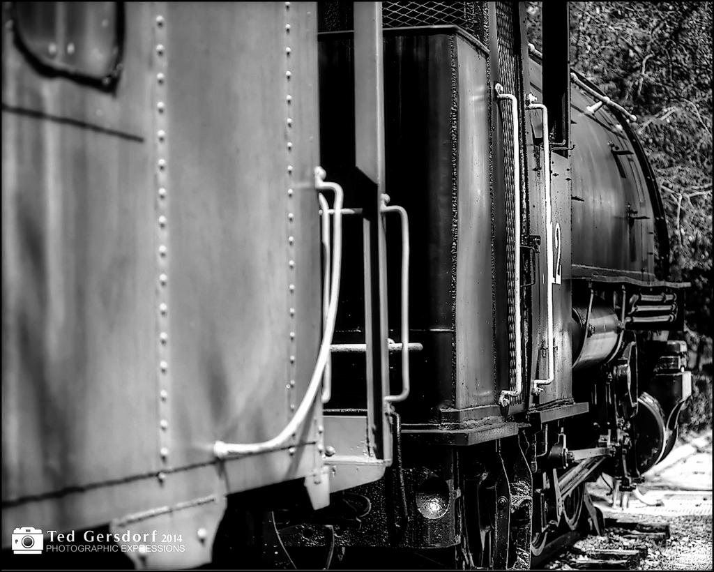 DSC_9202bw.jpg