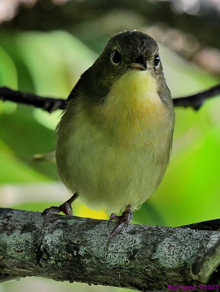 DSC_9203_001.JPG