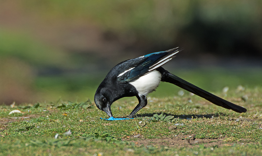 DSC_9212.jpg