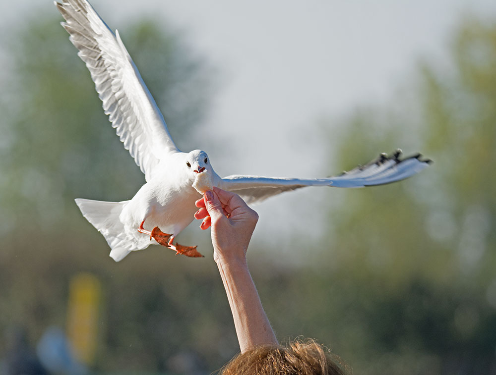 DSC_9223.jpg
