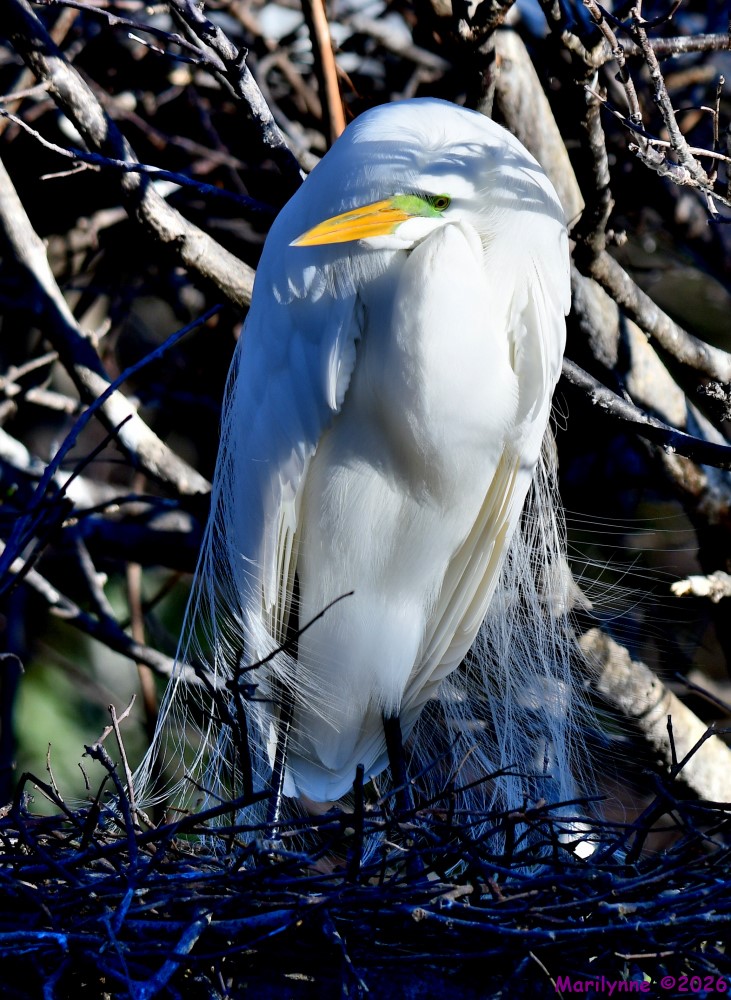 DSC_9238_001.JPG