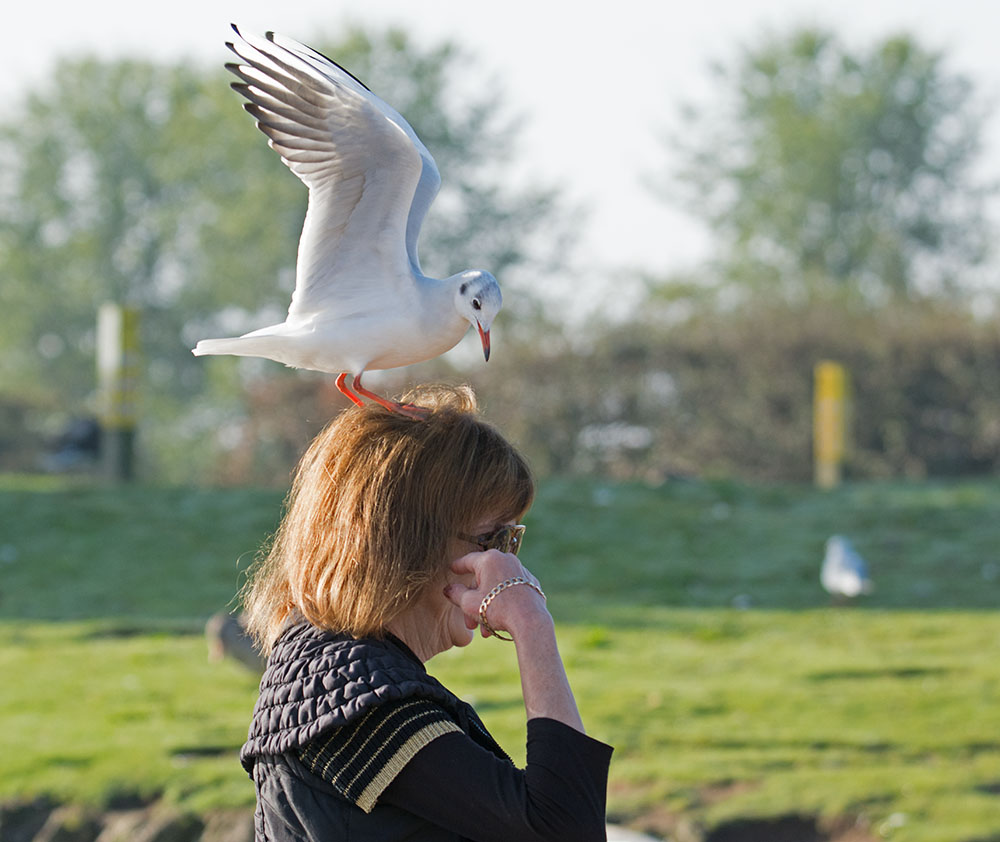 DSC_9245.jpg