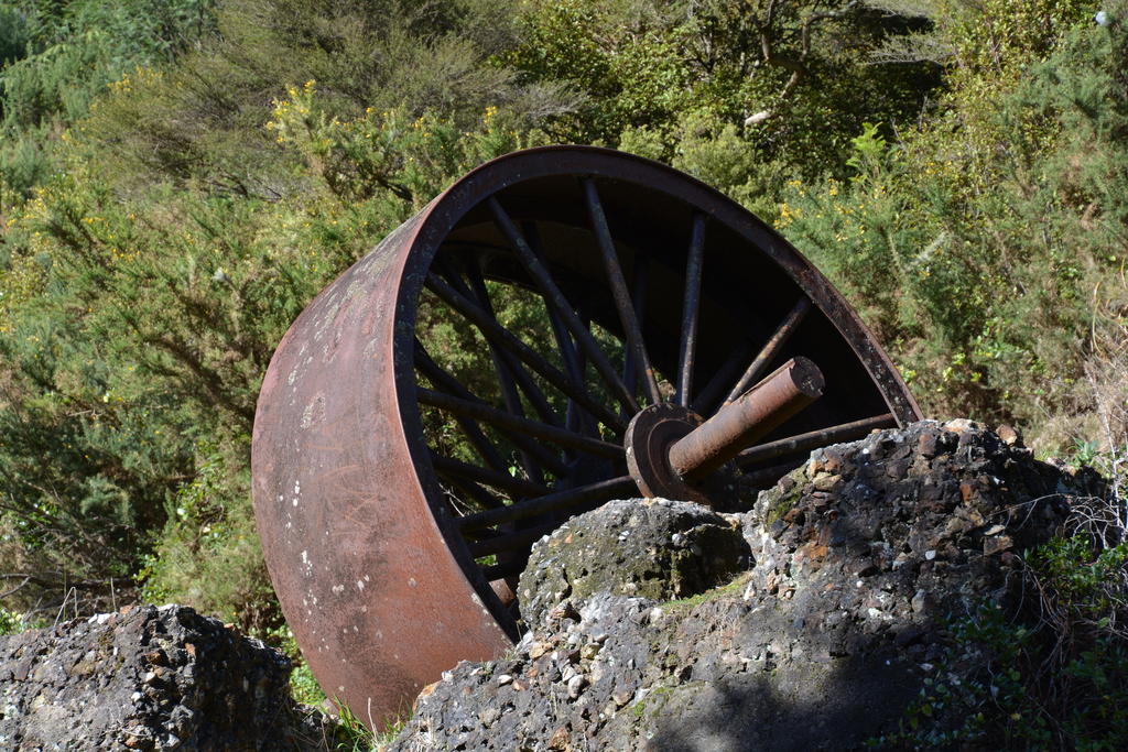 DSC_9256_2.jpg