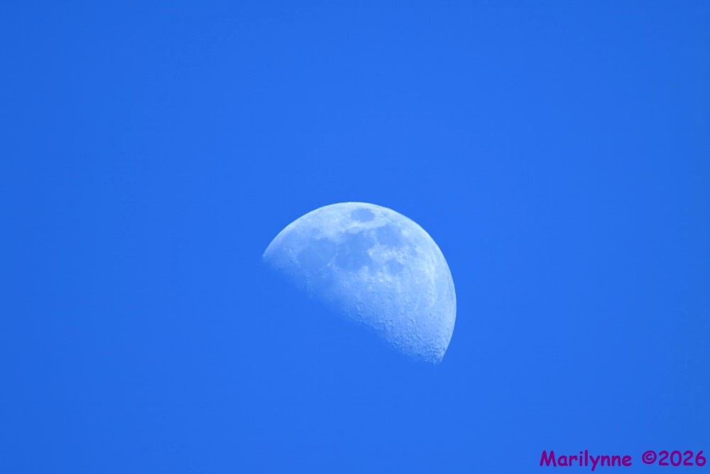 DSC_9265 copy_001.JPG