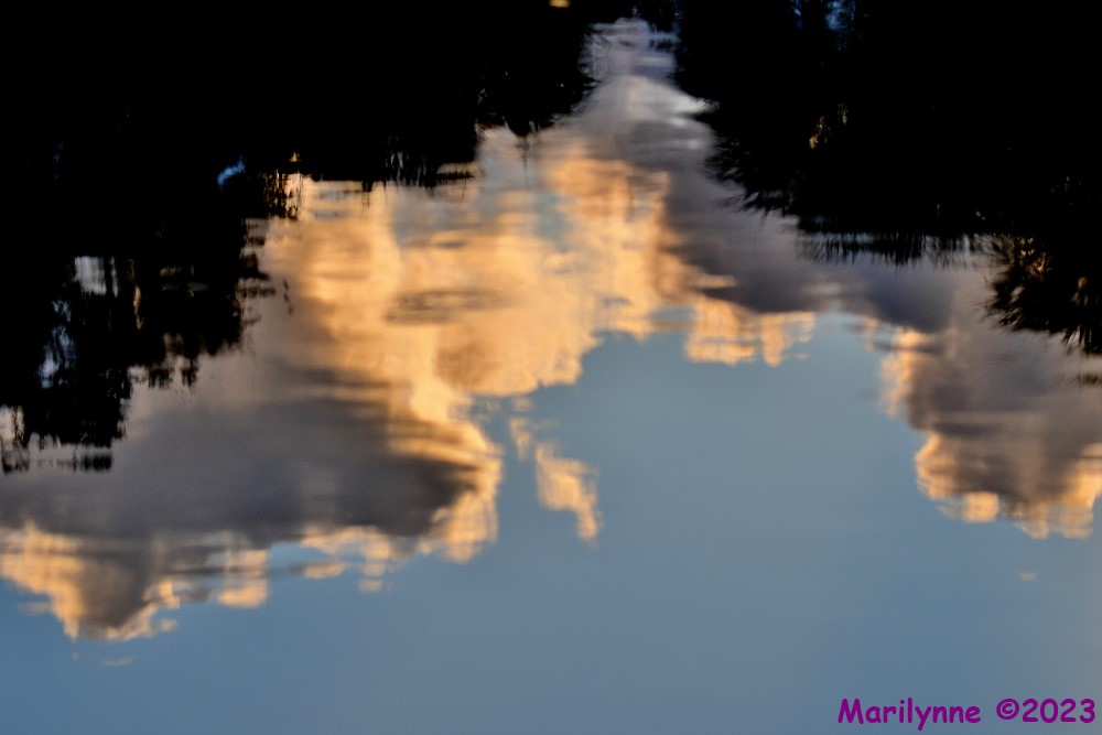 DSC_9277_001.JPG