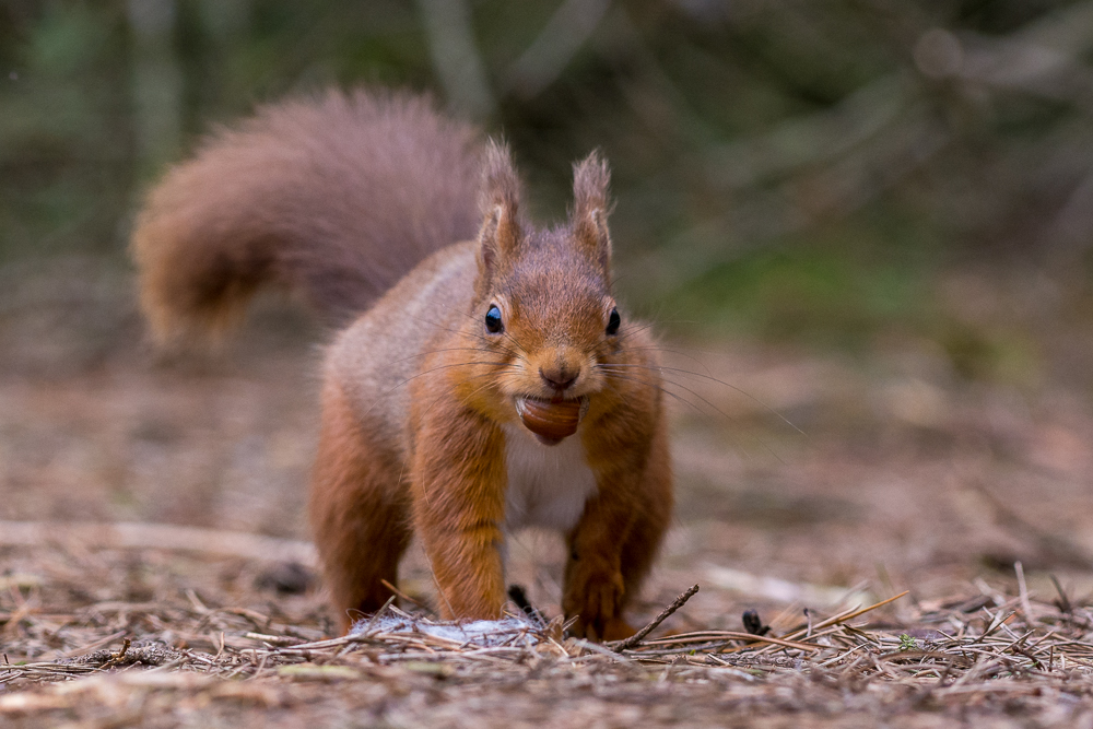 DSC_9279.jpg