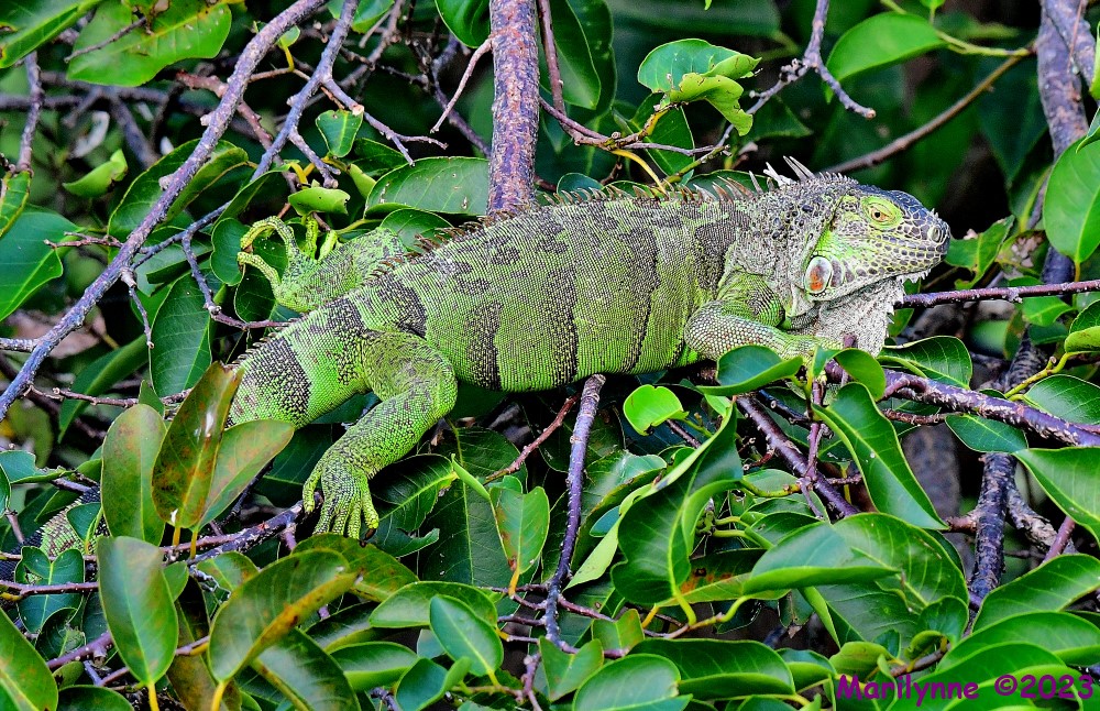 DSC_9280_001.JPG