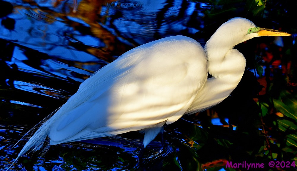 DSC_9283_001.JPG