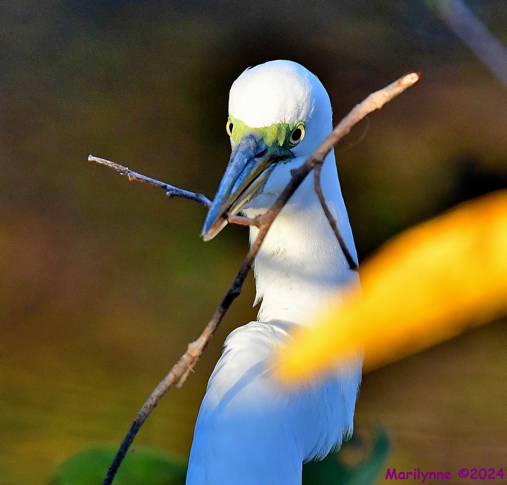 DSC_9289_001.JPG