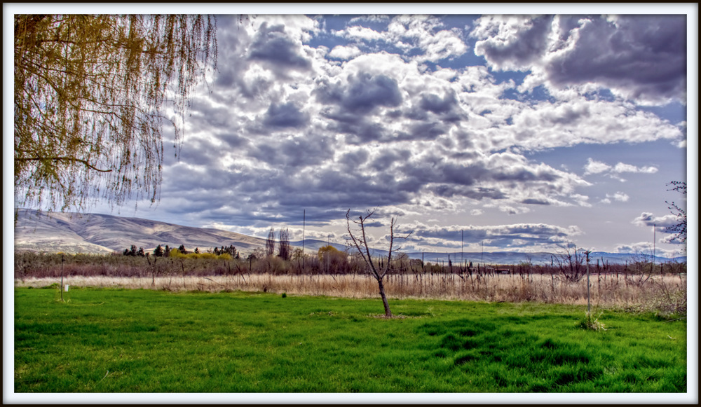 DSC_9290-2-Edit.jpg