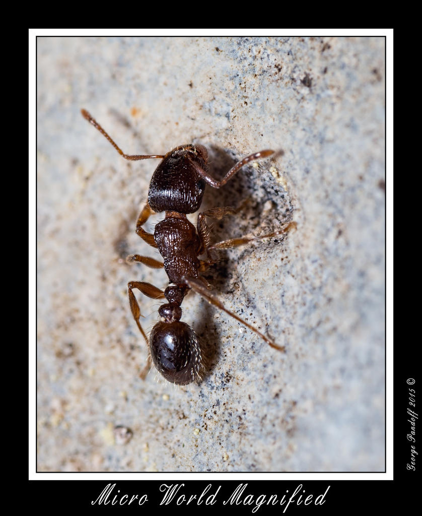 DSC_9290_Web.jpg
