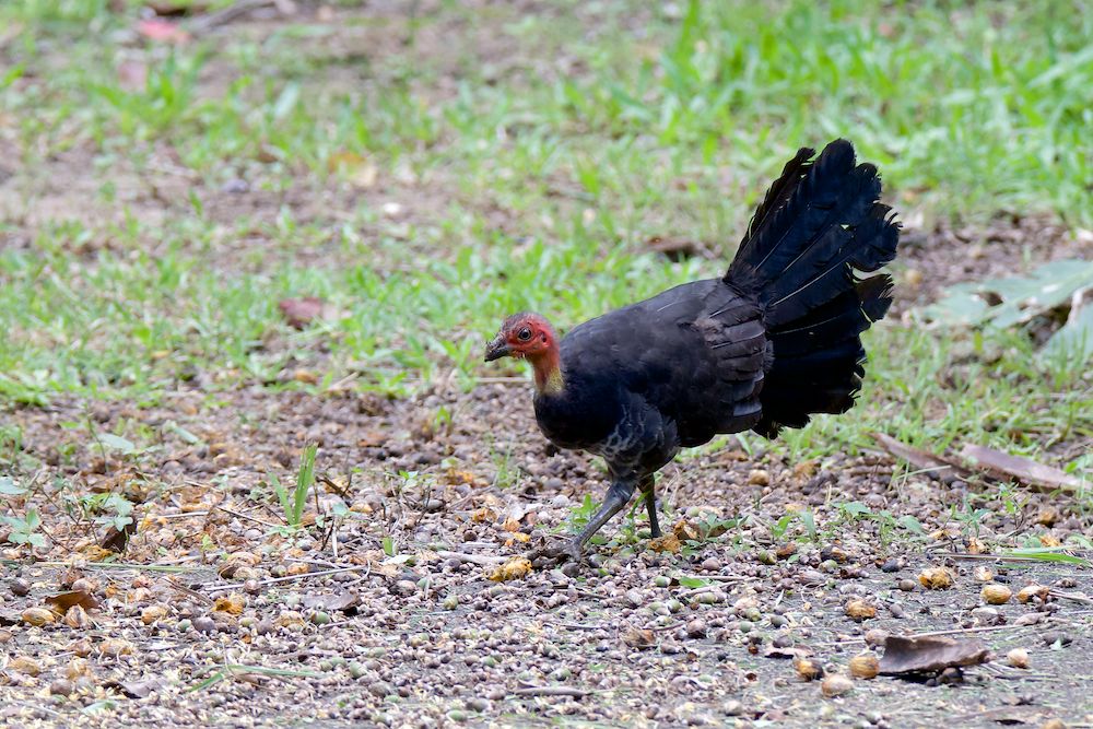 DSC_9297.jpg