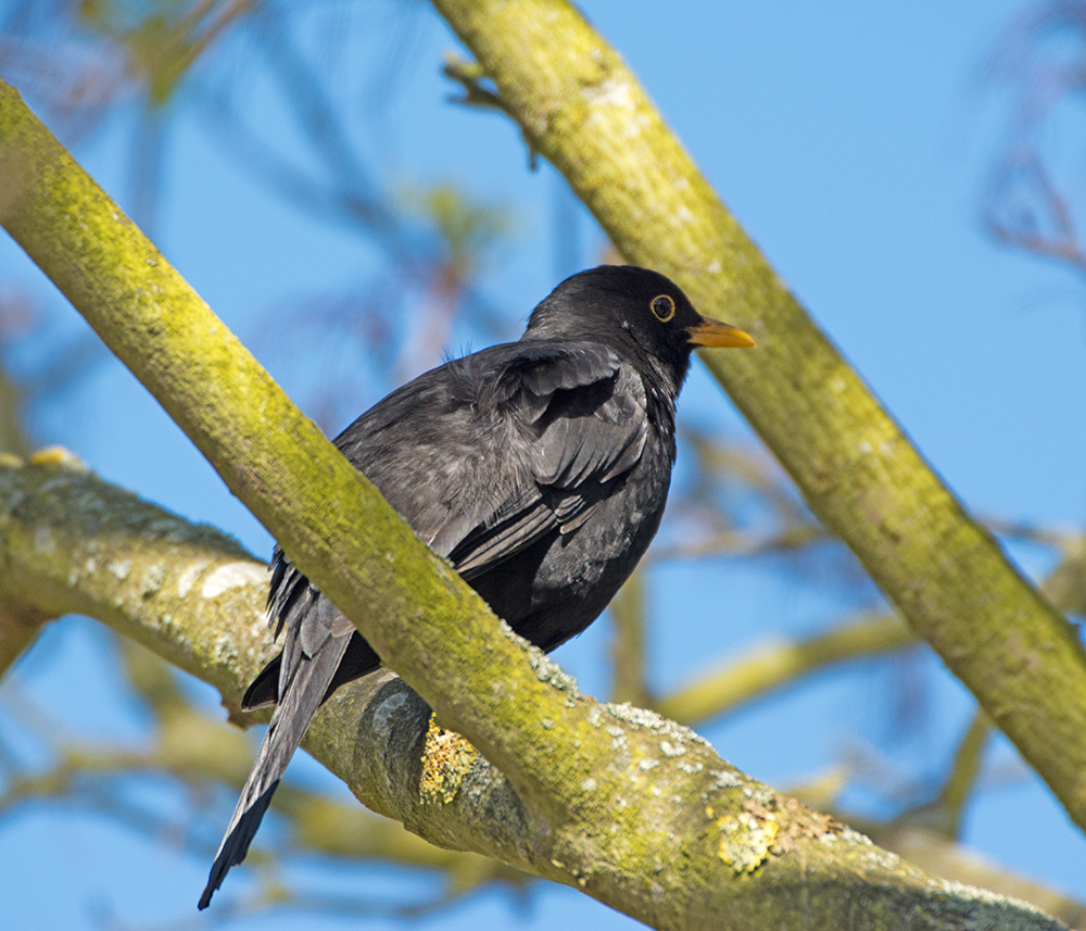 DSC_9302.jpg
