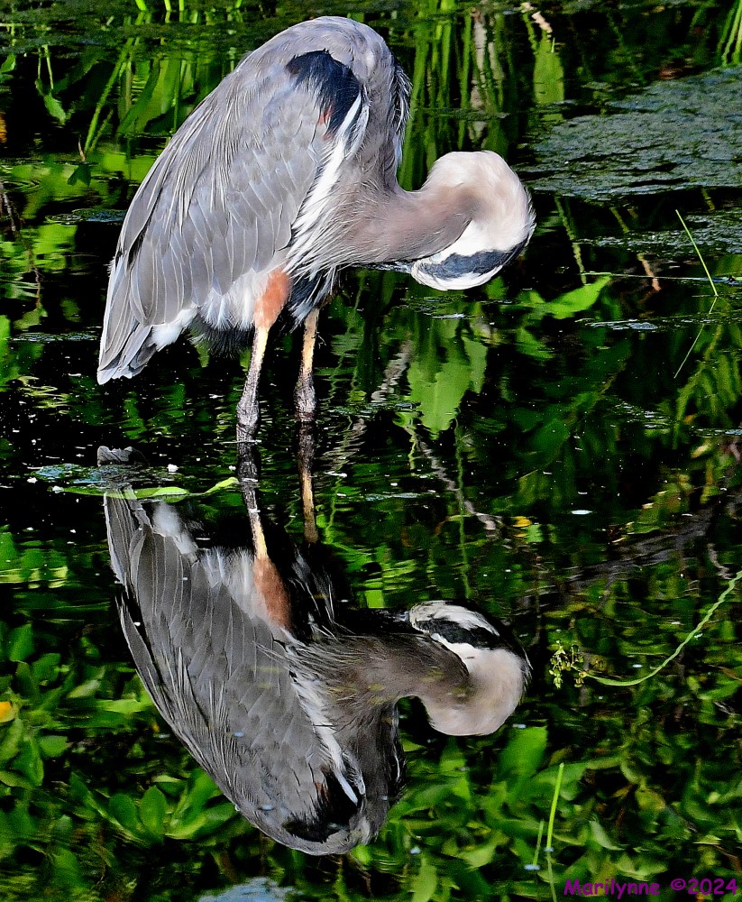DSC_9314_001.JPG