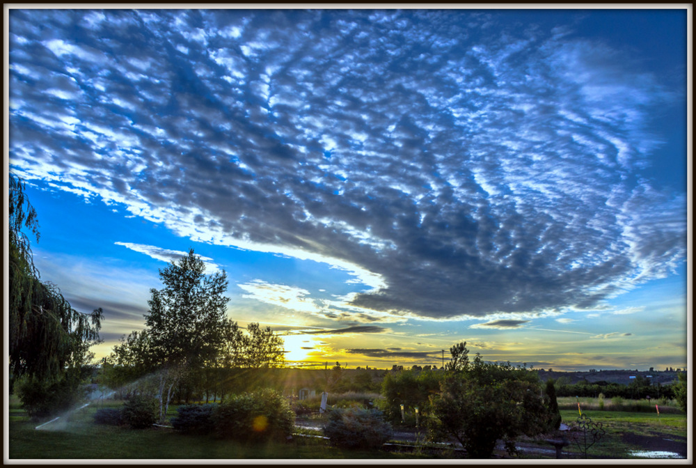 DSC_9318.jpg