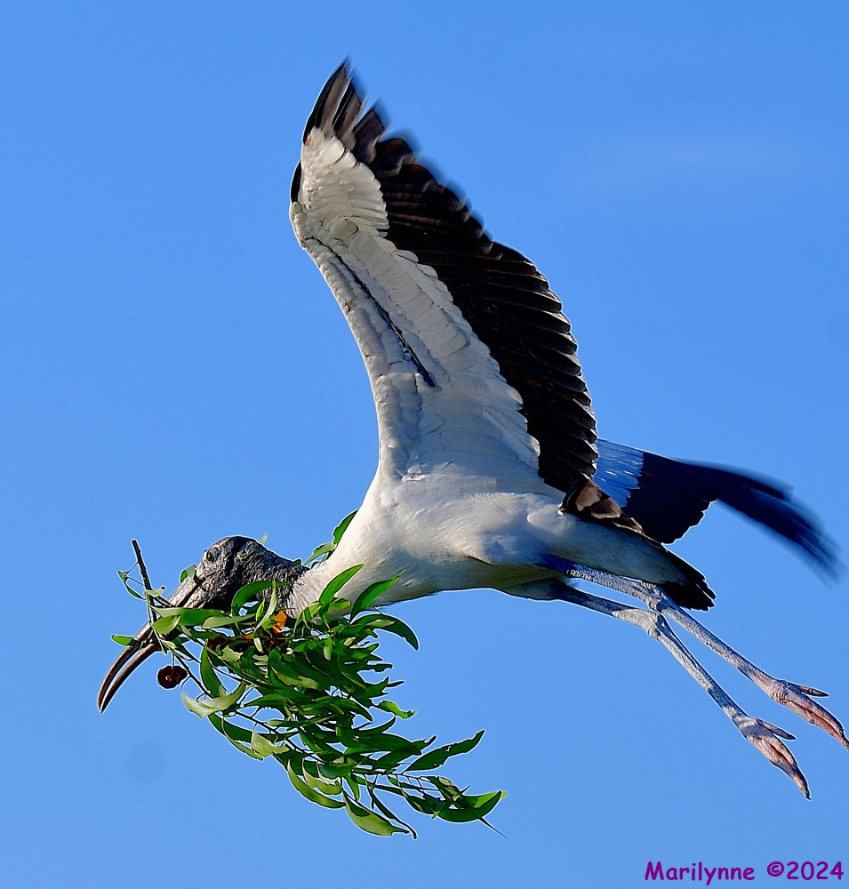 DSC_9319_001.JPG