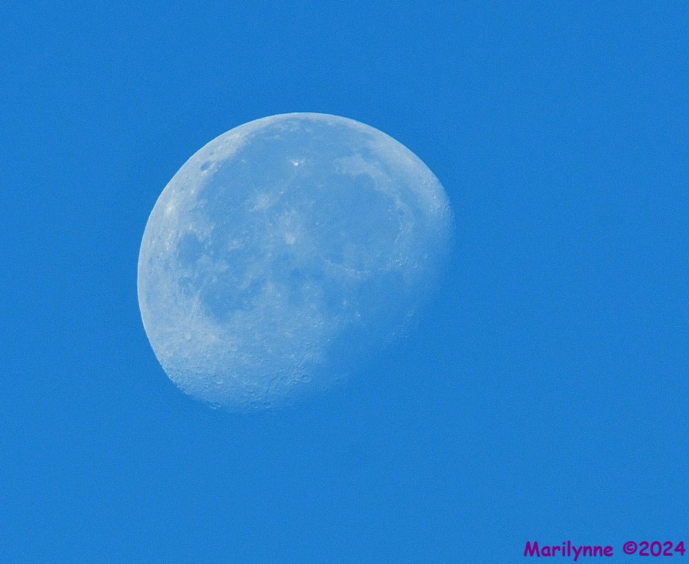 DSC_9326_001.JPG