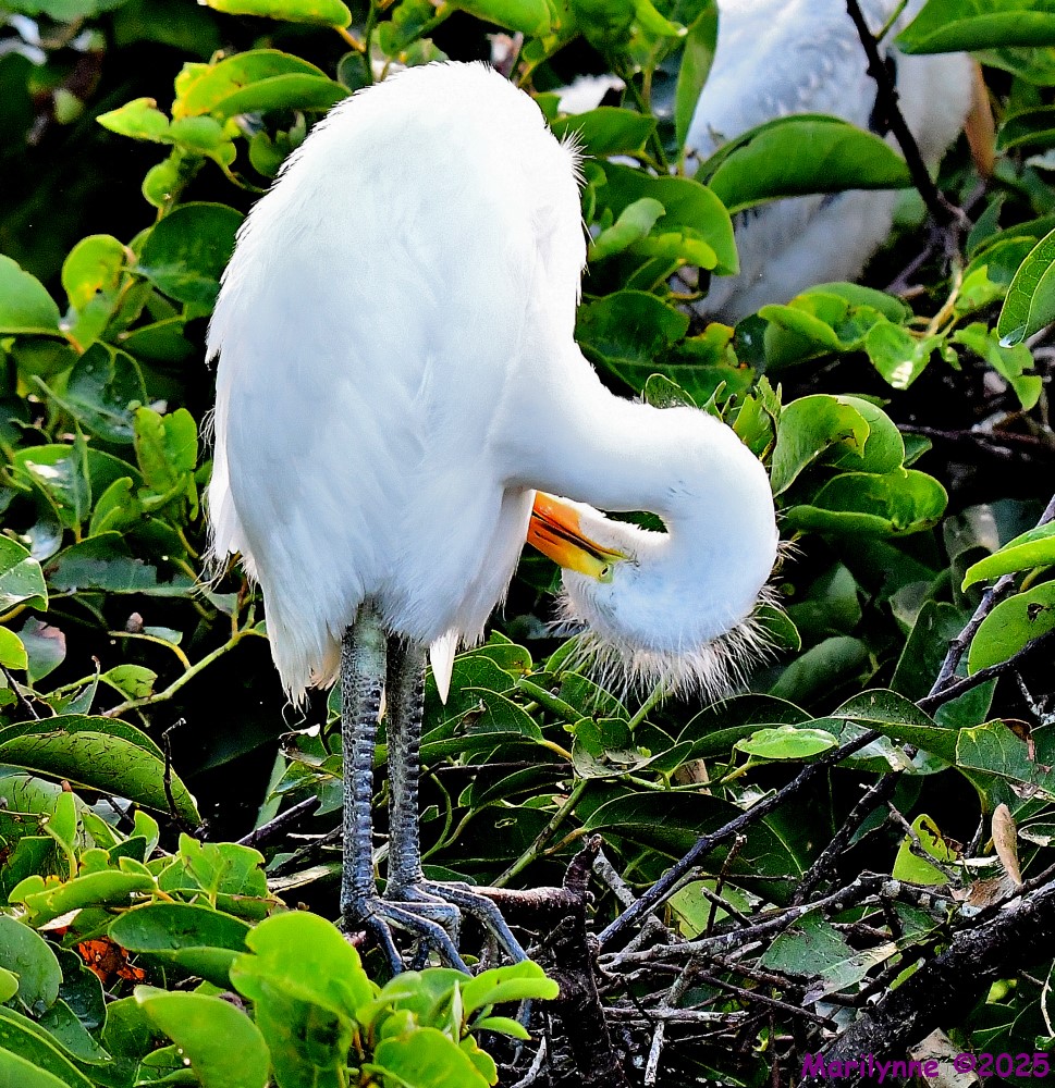 DSC_9328_001.JPG