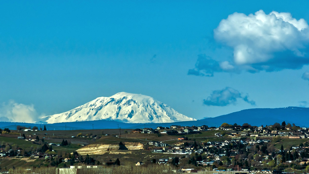 DSC_9335.jpg