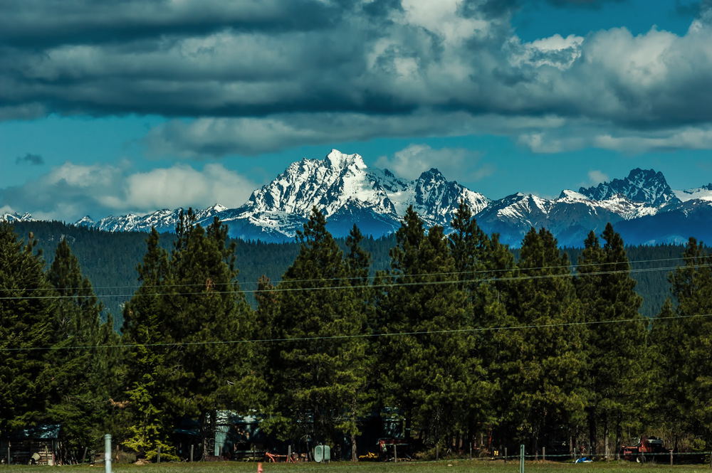 DSC_9342.jpg