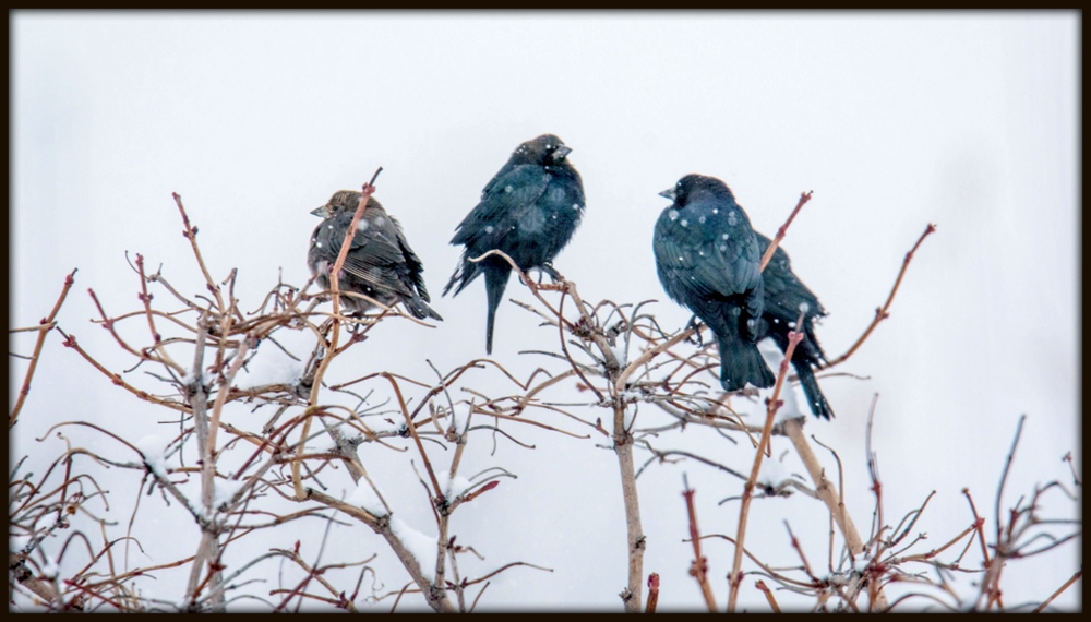 DSC_9344.jpg