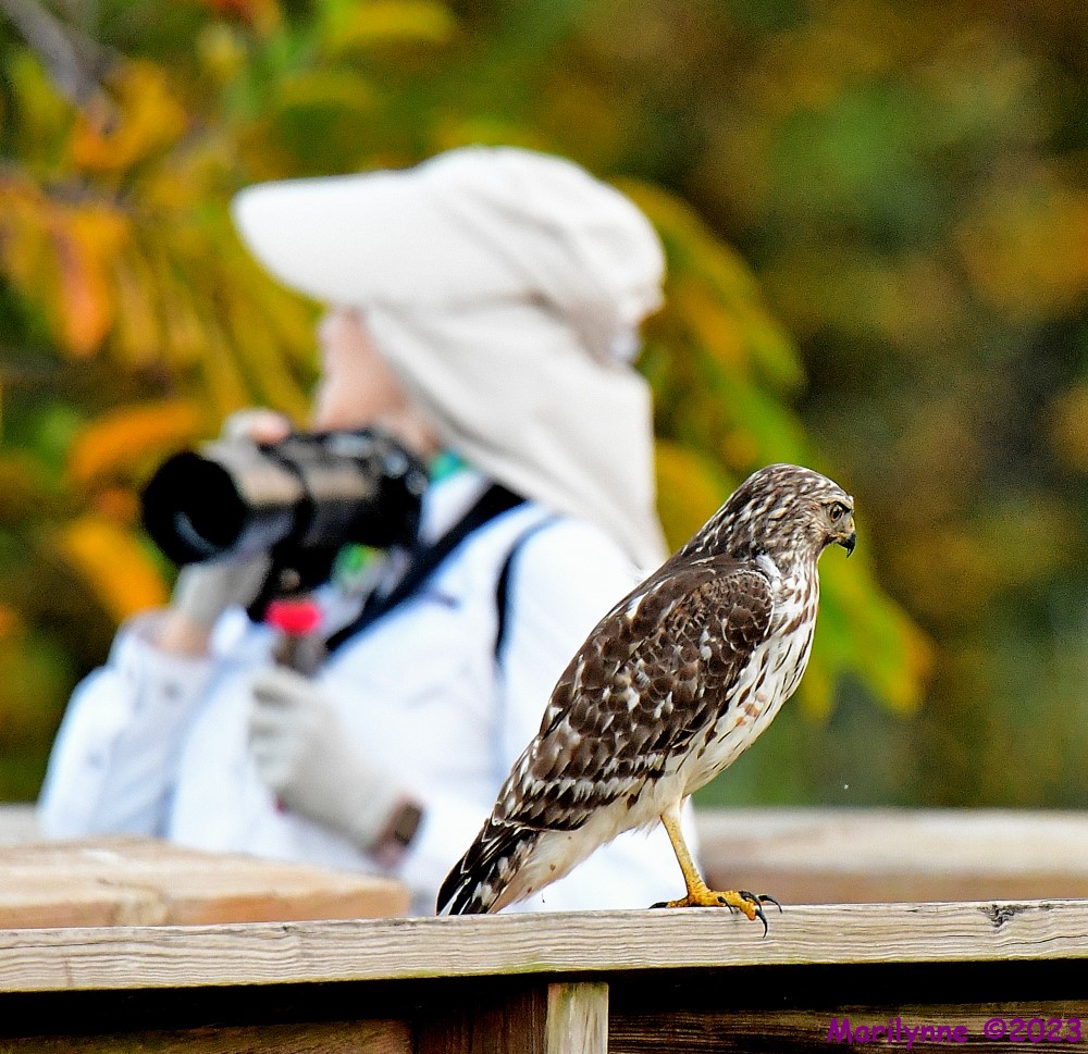 DSC_9346_001.JPG