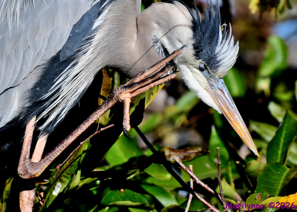 DSC_9361_001.JPG