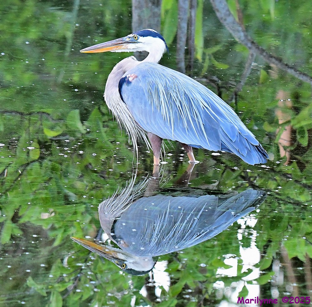 DSC_9365_001.JPG