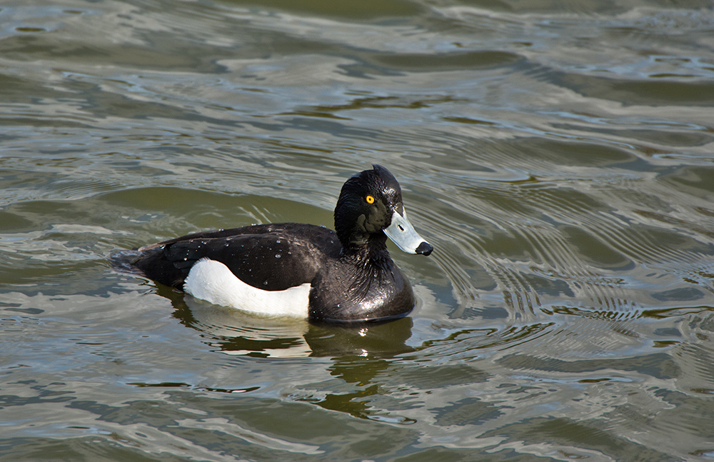 DSC_9374.jpg