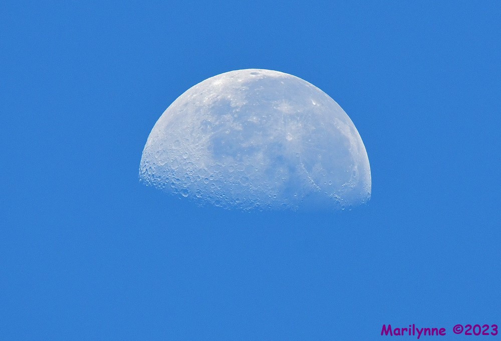 DSC_9379_001.JPG