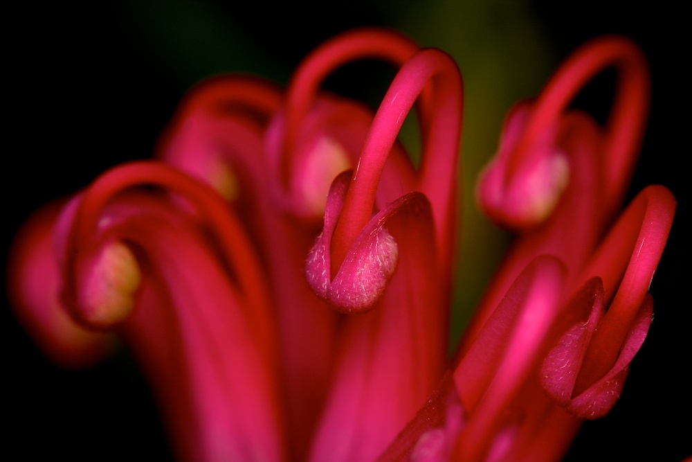 DSC_9380.jpg